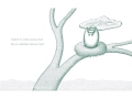 Neftali's Imagination and Experiences