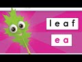 Identifying Sounds and Words