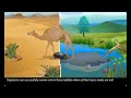 Habitat Needs for Organisms