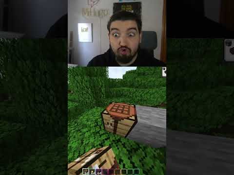 3 TRUCOS DE MINECRAFT