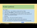 Protein Synthesis Concepts and Processes