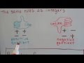 Understanding Fractions and Division