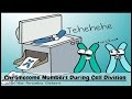 Understanding Chromosome Numbers in Mitosis and Meiosis