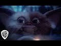 Understanding Gremlins and Pet Care