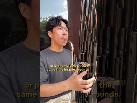 Do you know what music instrument this is? #dayinthelife #piano #vlog #chinesemusic #sheng