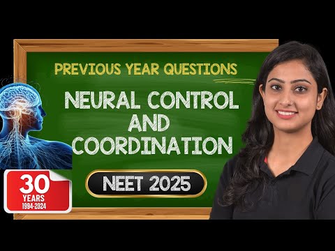 Neural Control and Coordination | Previous year question + NCERT exemplar | NEET 2025 | NEET Biology