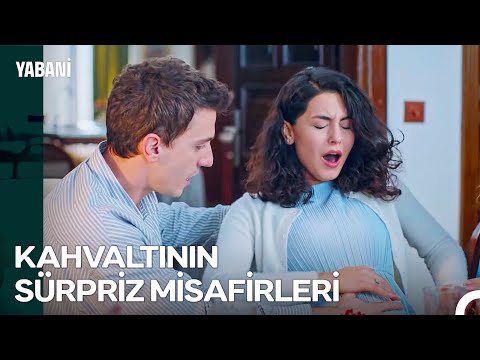 Soysalan Ailesine İki Yeni Üye - Yabani 51. Bölüm (FİNAL)