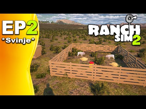 PRVI OBOR I PRVE SVINJE, OSTAJEM BEZ PARA! *Ranch Simulator 2* EP2