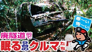 【探索ラン#36｜廃車探訪#07】廃トンネル前で《半世紀近く》眠る9台のクルマたち 〜 すべて車種特定してみた!!｜滋賀 彦根 旧佐和山隧道