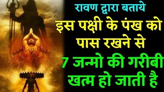 सावन माह में इस पक्षी का पंख बहुत विशेष होता है सात जन्मों की ग़रीबी और शत्रु भी दूर हो जाएँग