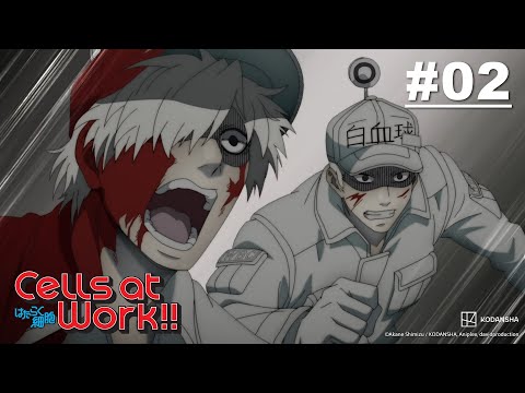 Cells at Work!! - Episode 02 (S2E02) [English Sub]