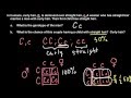 Genetic Traits and Punnett Squares