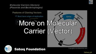 More on Molecular Carrier (Vector)