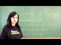 Filosofia na Grécia Antiga
