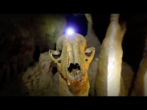 We Dug Out An Underground Pit And Couldn't Believe What We Found!