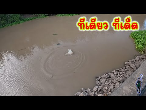 ทีเดียวทีเด็ด