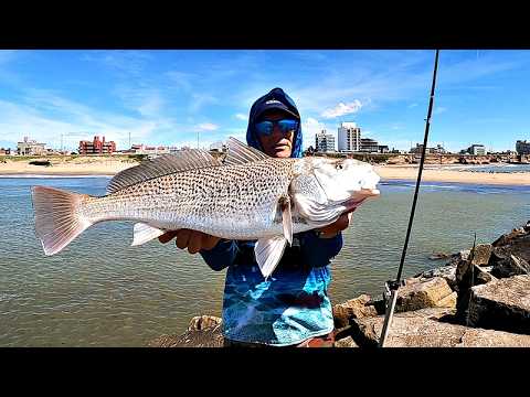 PESCA DESDE LAS PIEDRAS, BUENAS CAPTURAS Y FILETEADO IN SITU