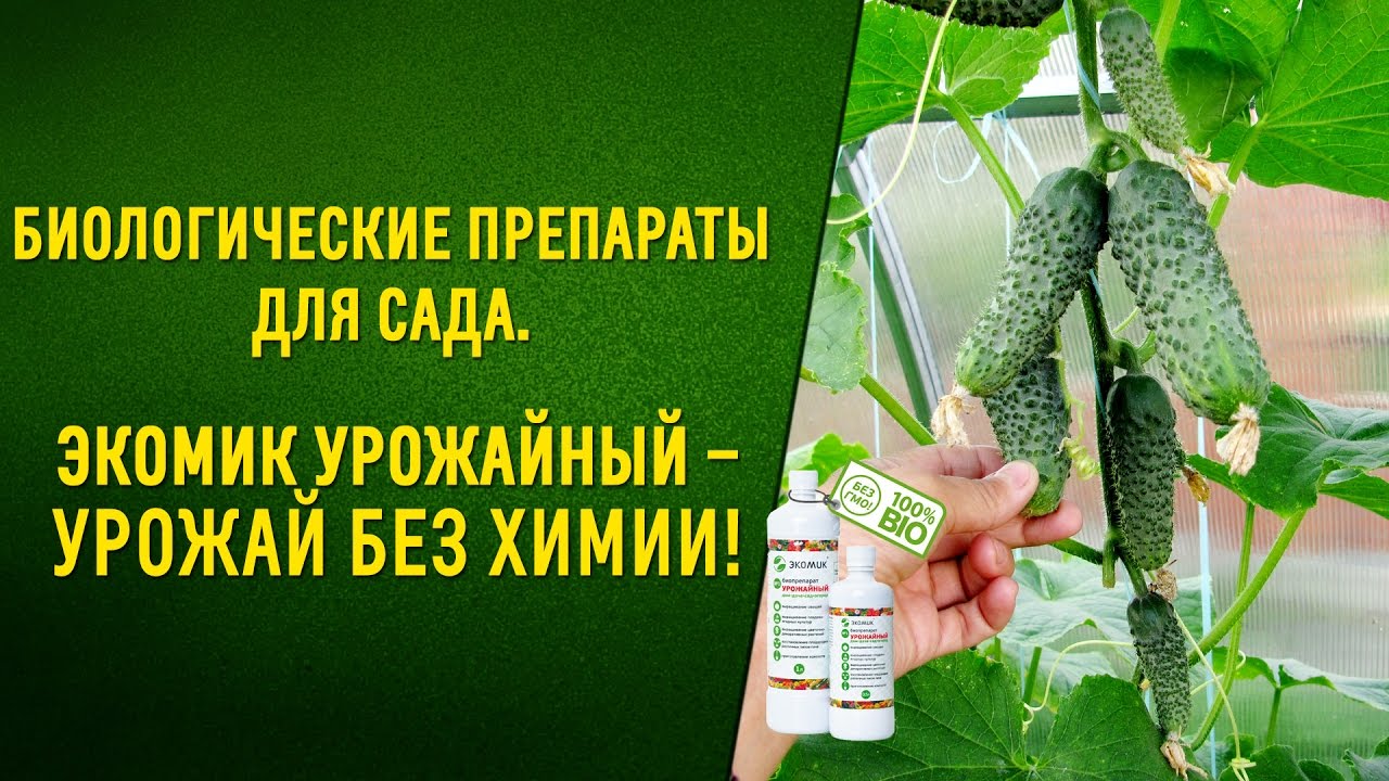 Биологические препараты для сада Экомик урожайный урожай без химии!
