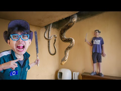NGERI! KITA MENEMUKAN ULAR GIGAS DI ATAP PLAFON RUMAH KU! SEMUA KELUARGA PANIKKK!!!