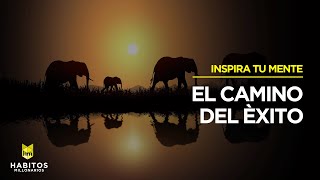 El camino hacia el éxito.
