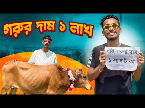 গরুর দাম কত?🤣।বাকিটা ইতিহাস🤣 সেরা ঈদের বিনোদন2025।