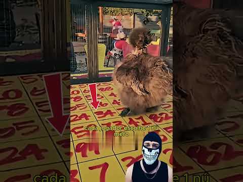 “A loteria mais bizarra do mundo!”😳🐔