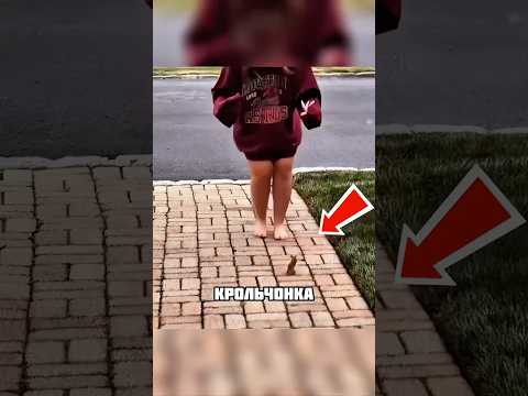 Этот крольчонок преследовал девушку #животные #shorts