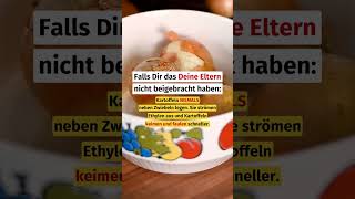 Das ist der unnötigste Geld-Killer überhaupt.