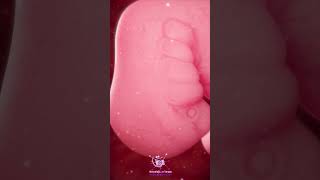 How Life Begins