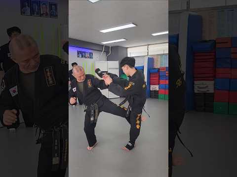 They Kick? You DOMINATE  #kickdifence #highkick #kangjun