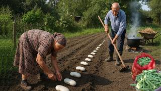 Grandma & Grandpa's Village Garden 🌿 Growing Beans & Cooking Bean Pilaf in Azerbaijan