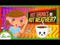 Understanding the Cooling Effect of Hot Beverages