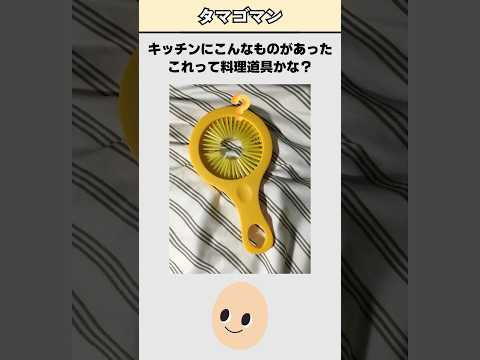 世界の「これ何?」91弾