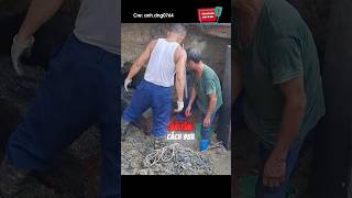 Phát hiện cỗ quan tài dưới móng nhà: 😨 #shorts