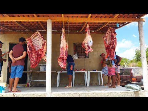 HOJE UMA NOVILHA MUTIRÃO DA CARNE MUITA FARTURA NO SÍTIO