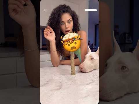 ู
ู ุงุฐูุงุก ุงูุงูุณุงู ุงู
ุงูููุจ๐ฑ#ุงูุณุนูุฏูุฉ#ุงูุนุฑุงู #ุงูุณุจููุฑ#ุฑูุงูู
ุฏุฑูุฏูู
ุงูุดุณุชุฑุณูุชู #ุงูุฌุฒุงุฆุฑ#ุงูุงู
ุงุฑุงุช#ุงูู
ุบุฑุจ