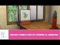 Focal Length and Mirror Properties
