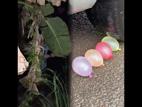 Le PASO esto a PAPÁ 😱 #shorts #viral