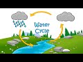 Understanding the Water Cycle Concepts
