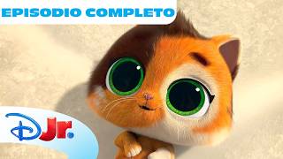 Super fan / bagno di bolle 🛁 🫧 Superkitties | Episodio Completo | Cartoni Animati