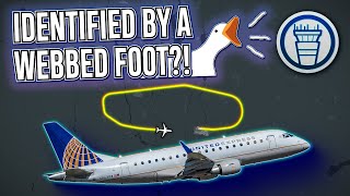 ATC Identifies Bird Strike Victim: "It's a Goose!" [ATC Audio]
