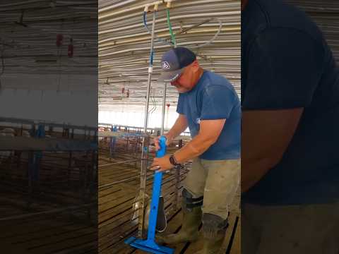 Repairs in the Hog Barn Never Stop
