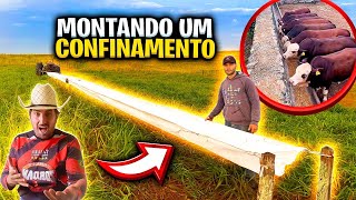 COMO FAZER UM CONFINAMENTO COM COCHO BEG 