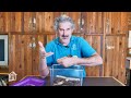 Madagascar Hissing Cockroaches Facts