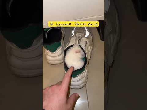 راح نص عمري 🥹