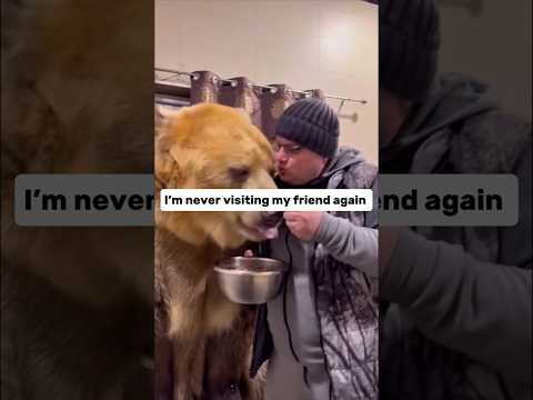 I'm never visiting my friend again #explorepage #funnyshorts #bear #sleepover #trendingshorts #fypシ