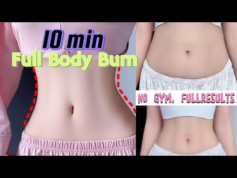 10 Min FULL BODY Burn at Home | No gym, Full Results | Home Fitness Challenge #exercises
