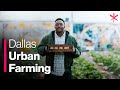 Community Initiatives and Urban Farming