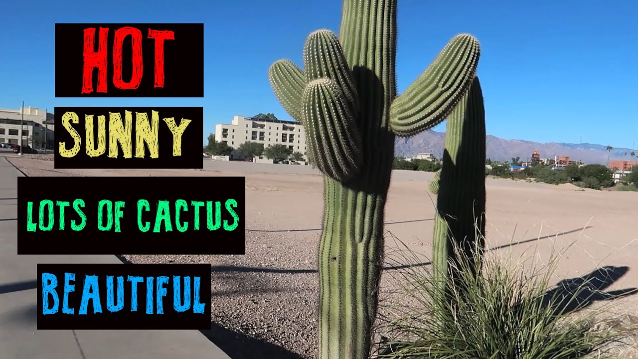 Tucson - Exploring Arizona's Other (Beautiful) Big City