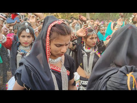 chiku vadi ma tari tiki khavai - Ghanshyam Rathva Timli 2025 ( New Song 2025 )